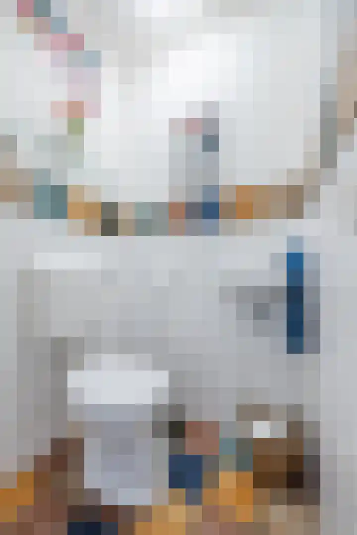Lange Akker 23 Hilvarenbeek thumbnail 16