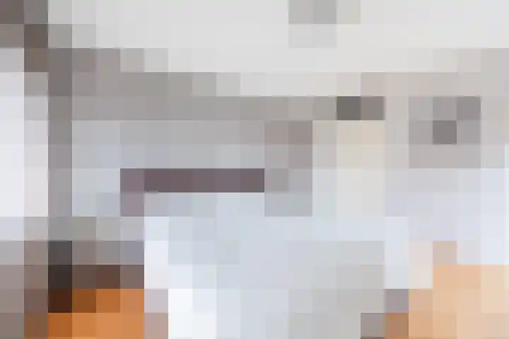 Lange Akker 23 Hilvarenbeek thumbnail 19