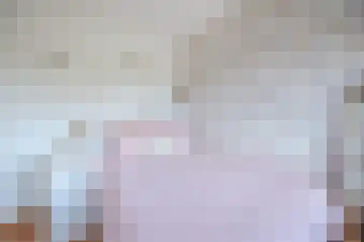 Lange Akker 23 Hilvarenbeek thumbnail 26