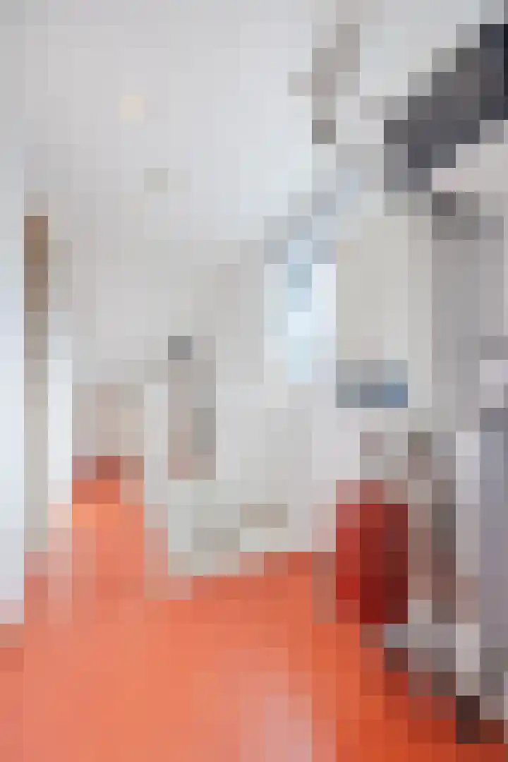 Lange Akker 23 Hilvarenbeek thumbnail 32