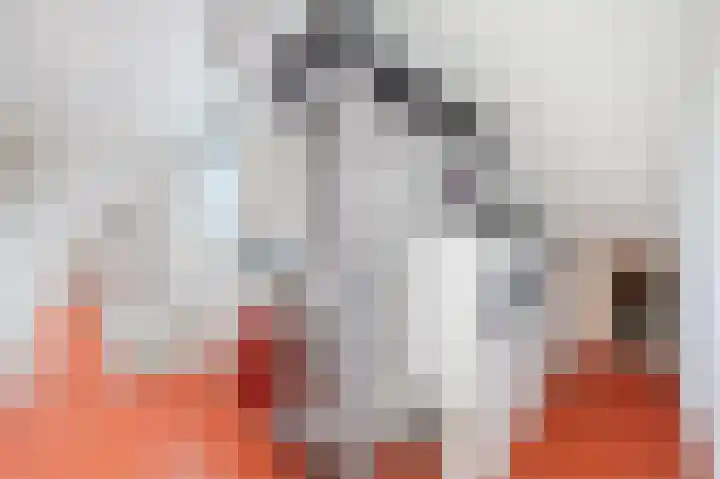 Lange Akker 23 Hilvarenbeek thumbnail 33
