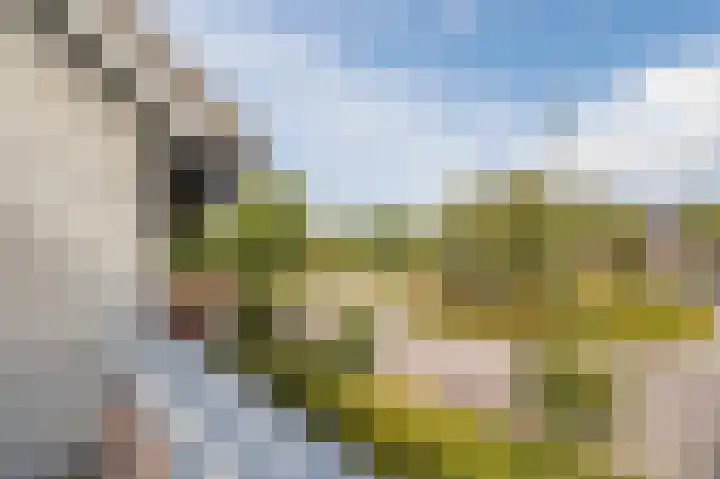Lange Akker 23 Hilvarenbeek thumbnail 36