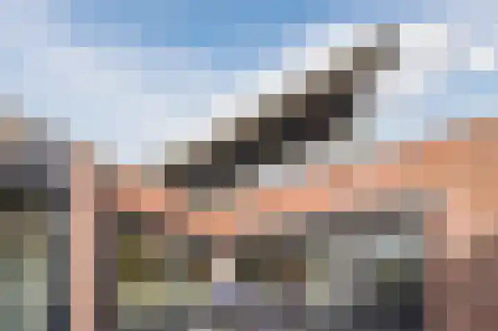 Lange Akker 23 Hilvarenbeek thumbnail 45