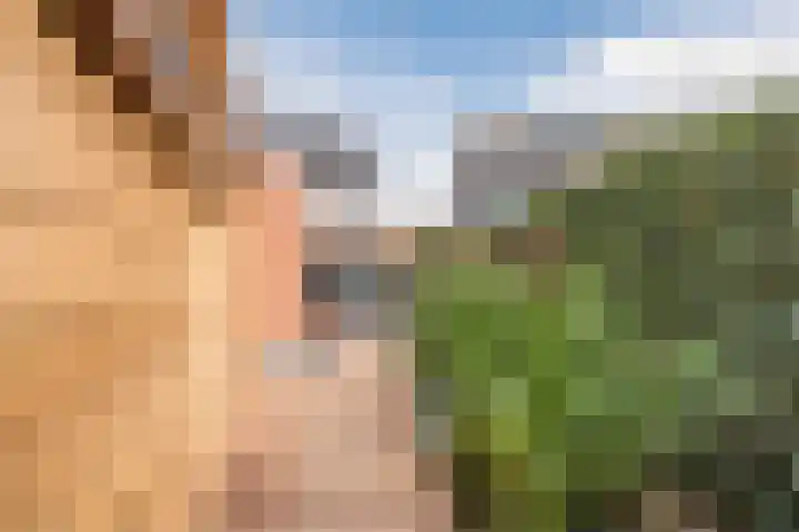 Lange Akker 23 Hilvarenbeek thumbnail 49