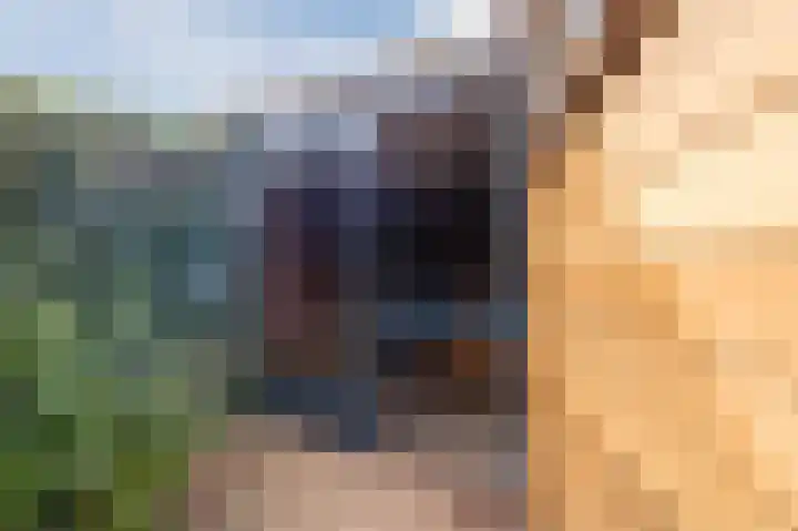 Lange Akker 23 Hilvarenbeek thumbnail 50
