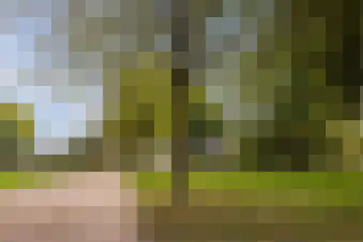 Lange Akker 23 Hilvarenbeek thumbnail 59