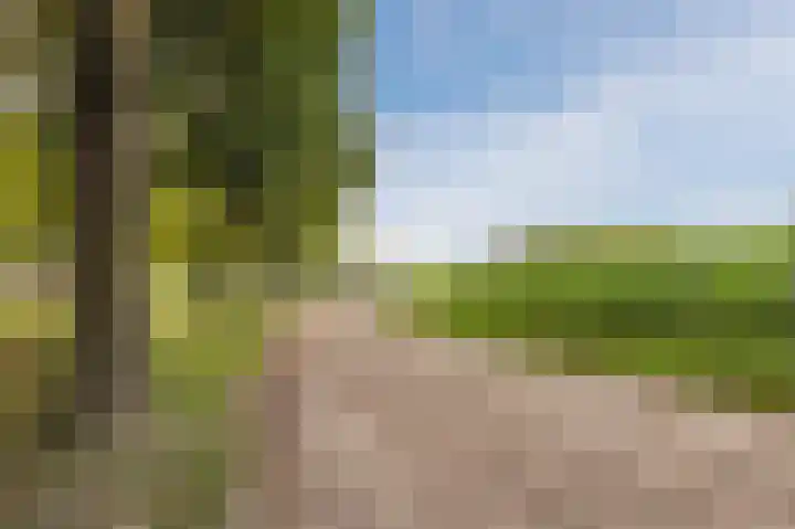 Lange Akker 23 Hilvarenbeek thumbnail 60