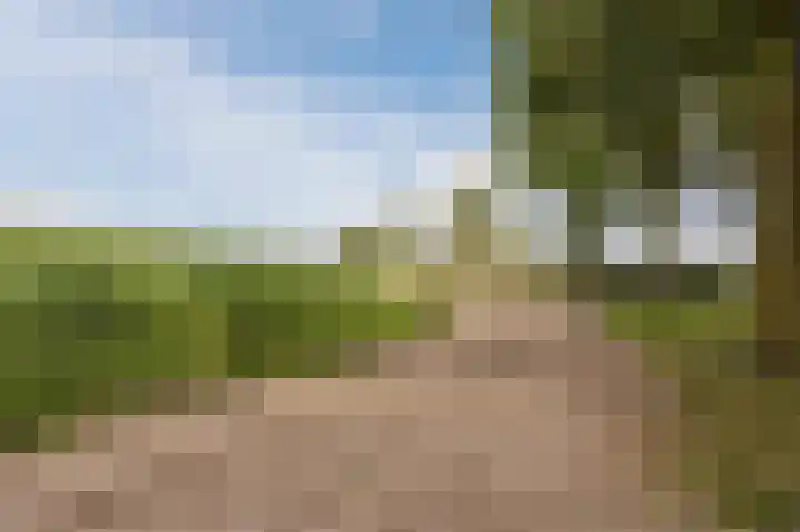 Lange Akker 23 Hilvarenbeek thumbnail 61