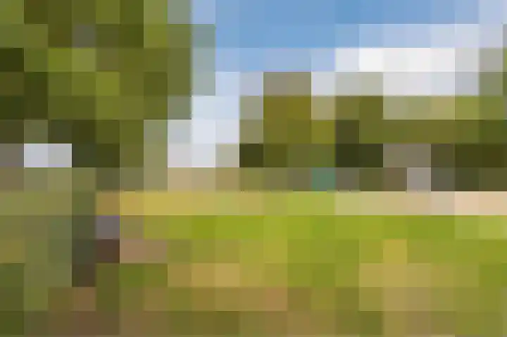 Lange Akker 23 Hilvarenbeek thumbnail 62