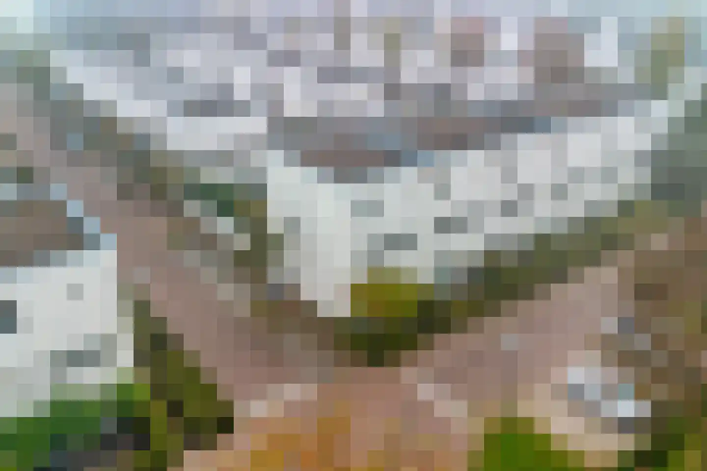 Lange Akker 231 Teteringen thumbnail 36