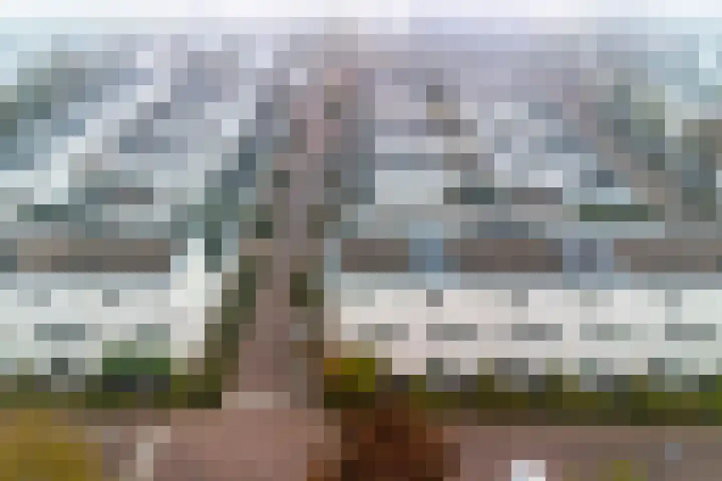 Lange Akker 231 Teteringen thumbnail 37