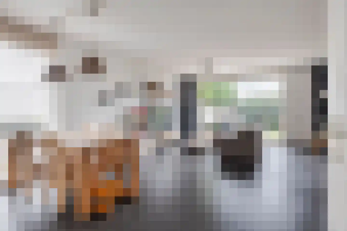 Lange Akker 231 Teteringen thumbnail 7