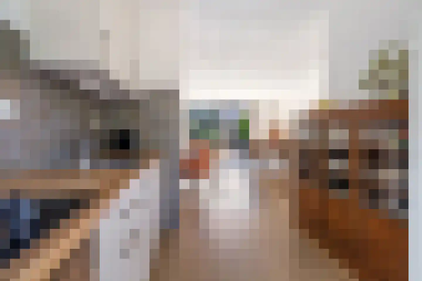 Lange Akker 233 Teteringen thumbnail 16