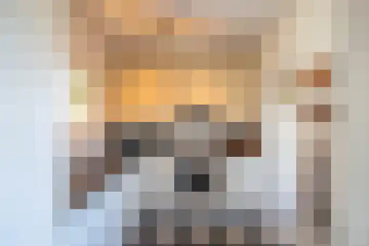 Lange Akker 24 Uithuizermeeden thumbnail 14