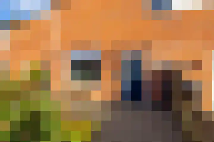 Lange Akker 24 Uithuizermeeden foto 2