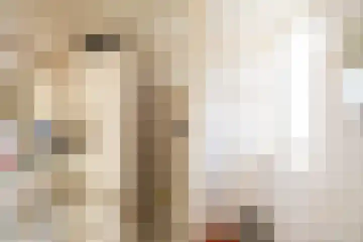Lange Akker 24 Uithuizermeeden thumbnail 30