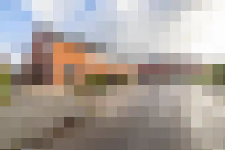 Lange Akker 24 Uithuizermeeden thumbnail 47
