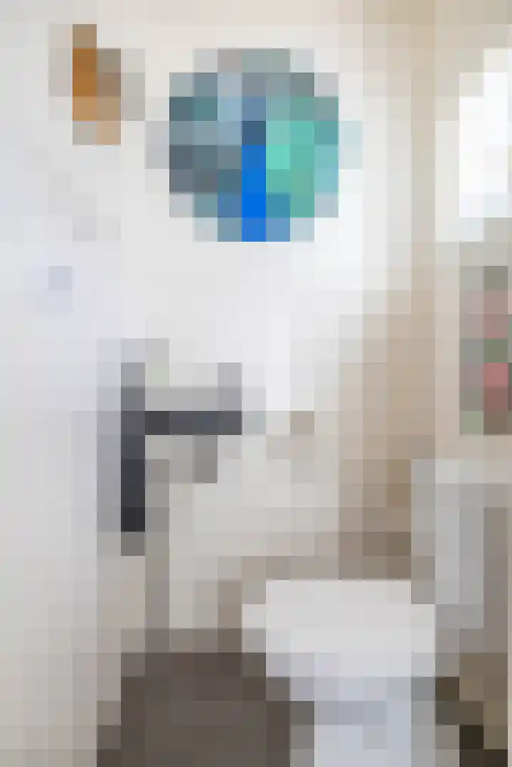 Lange Akker 24 Uithuizermeeden thumbnail 8