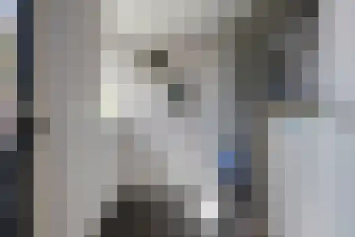Lange Akker 3 Uithuizermeeden thumbnail 19
