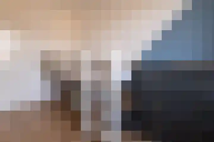Lange Akker 61 Norg thumbnail 15