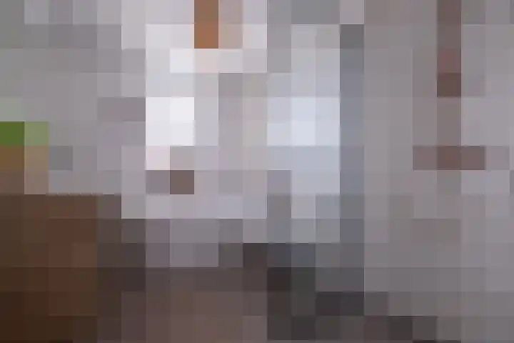 Lange Akker 61 Norg thumbnail 18