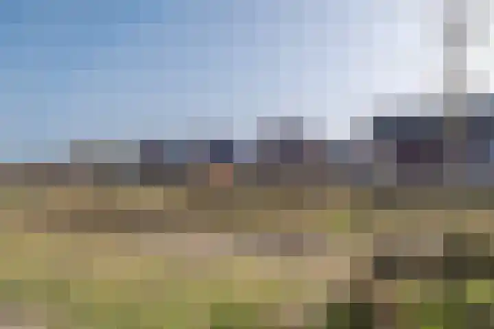 Lange Akker 61 Norg thumbnail 35