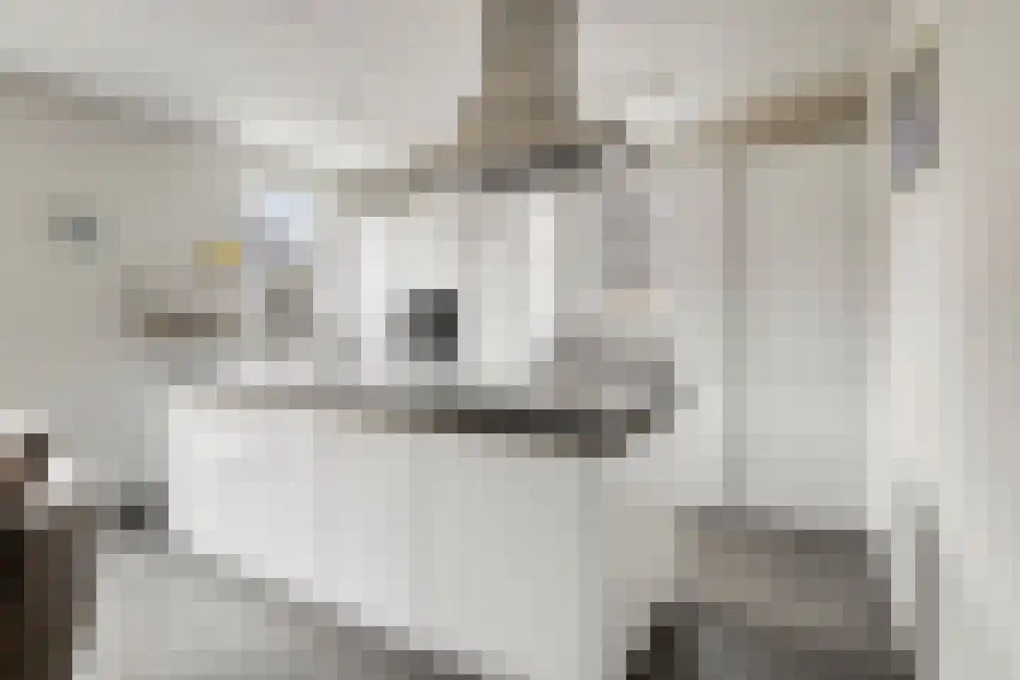 Lange Akker 8 Norg thumbnail 25