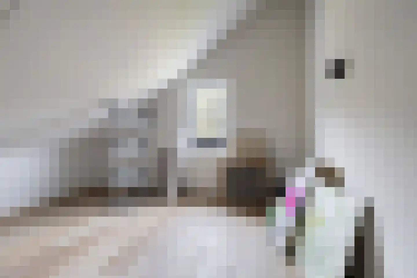 Lange Akker 8 Norg thumbnail 48