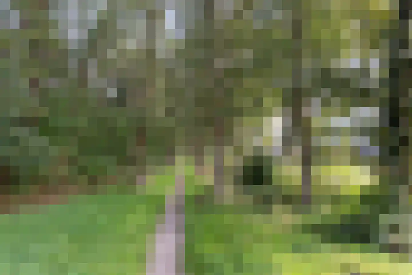 Lange Akker 8 Norg thumbnail 59