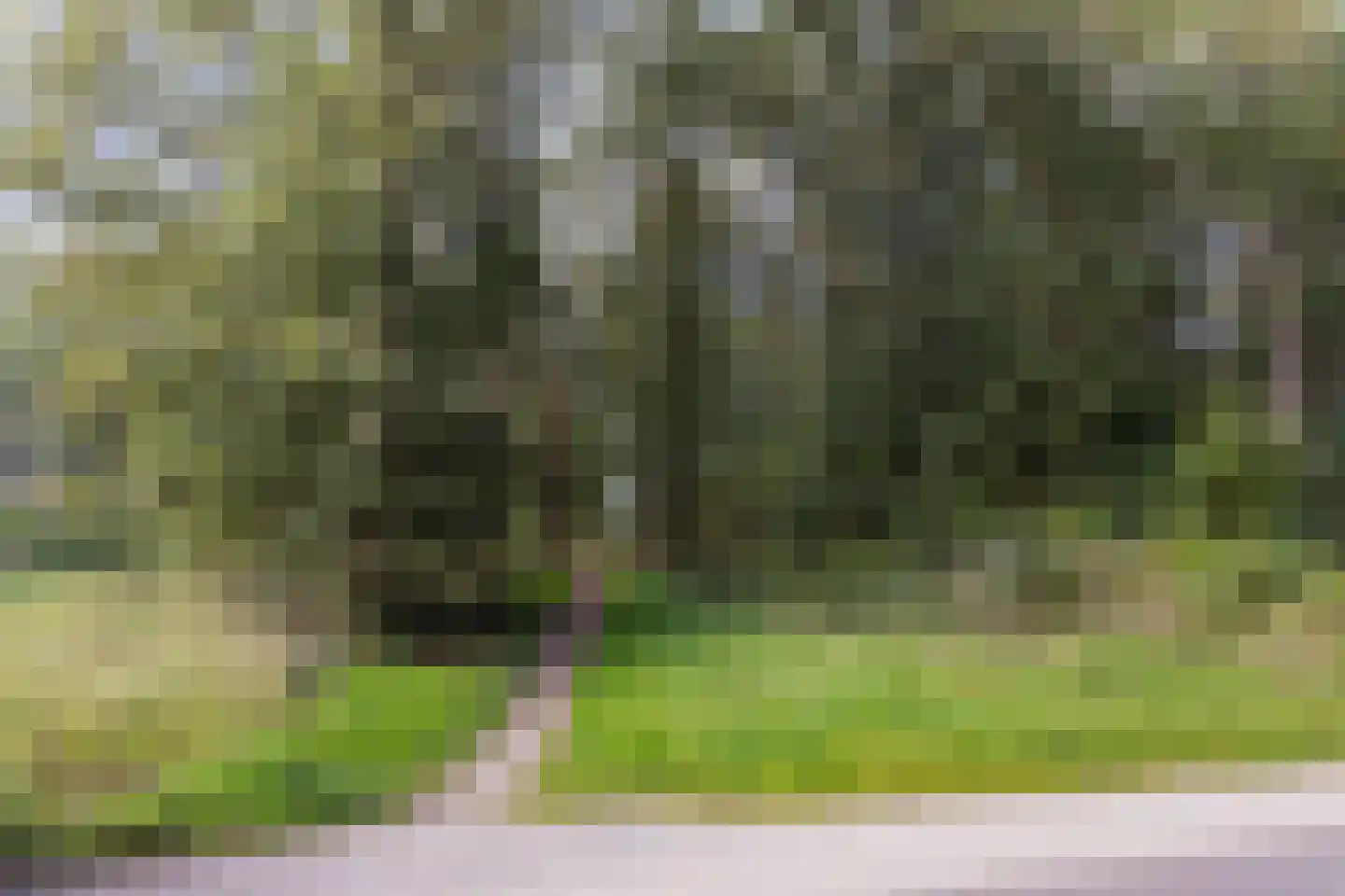 Lange Akker 8 Norg thumbnail 60