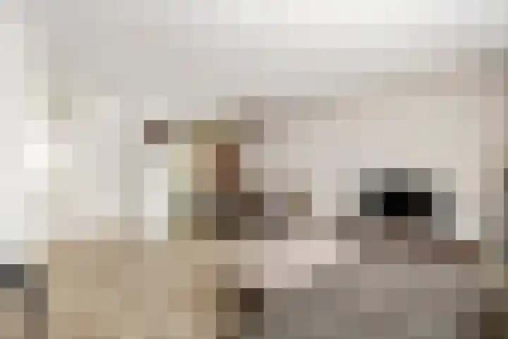 Lange Akker 84 Geldermalsen thumbnail 10