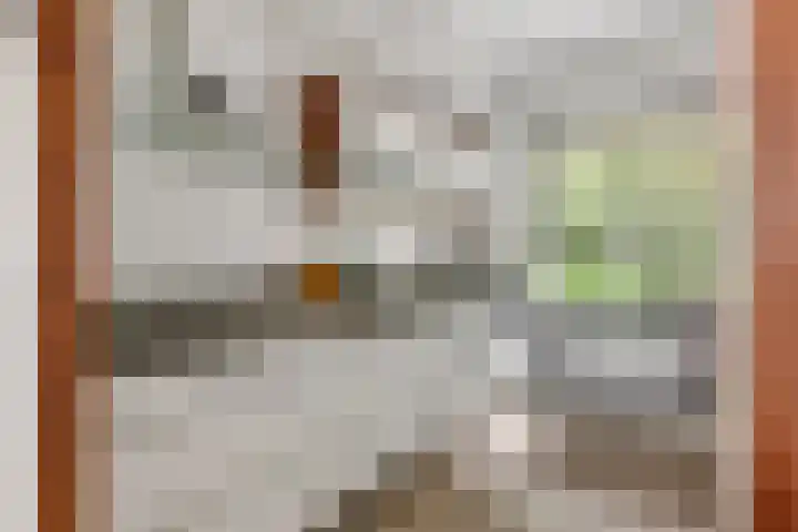 Lange Akker 84 Geldermalsen thumbnail 14