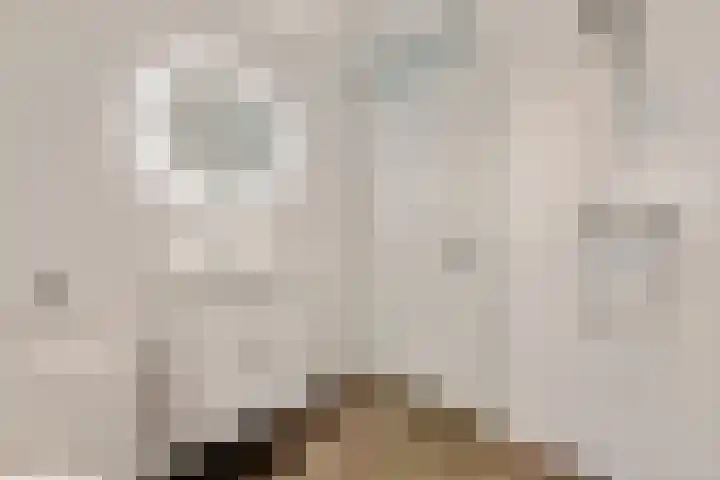 Lange Akker 84 Geldermalsen thumbnail 19