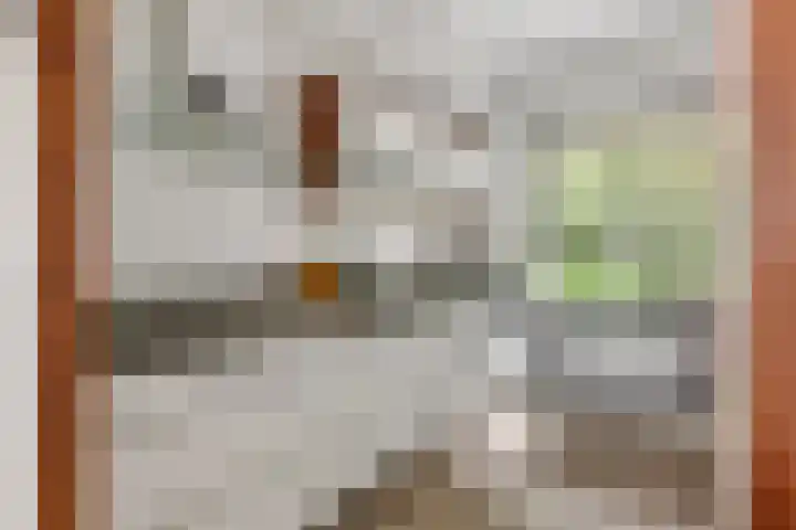 Lange Akker 84 Geldermalsen foto 3
