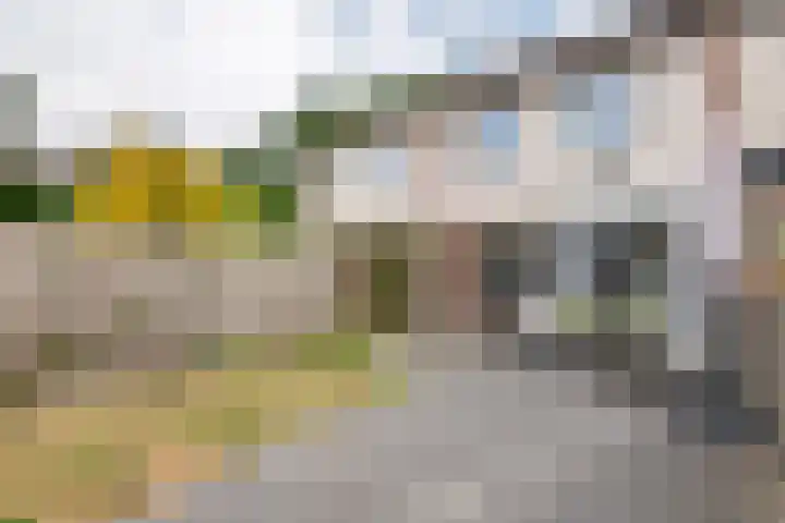Lange Akker 84 Geldermalsen thumbnail 30