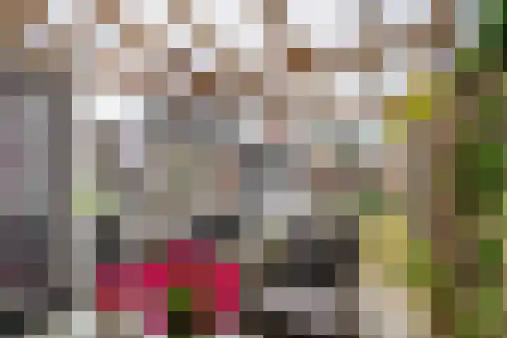 Lange Akker 84 Geldermalsen thumbnail 31
