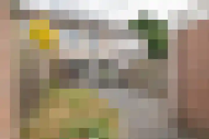 Lange Akker 84 Geldermalsen thumbnail 32