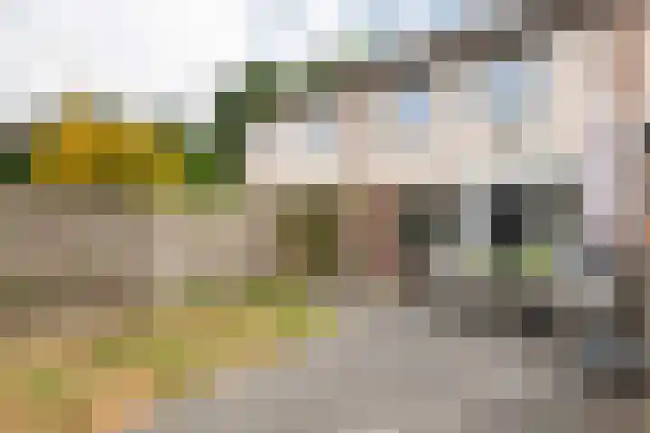 Lange Akker 84 Geldermalsen thumbnail 33