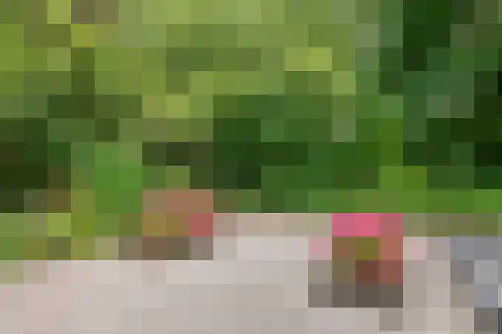 Lange Akker 84 Geldermalsen thumbnail 34