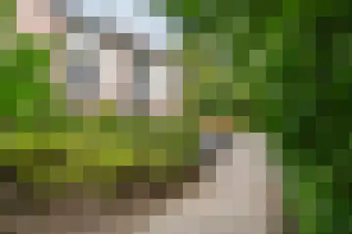 Lange Akker 84 Geldermalsen thumbnail 5