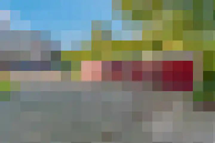 Lange Akkers 129 Ede thumbnail 21