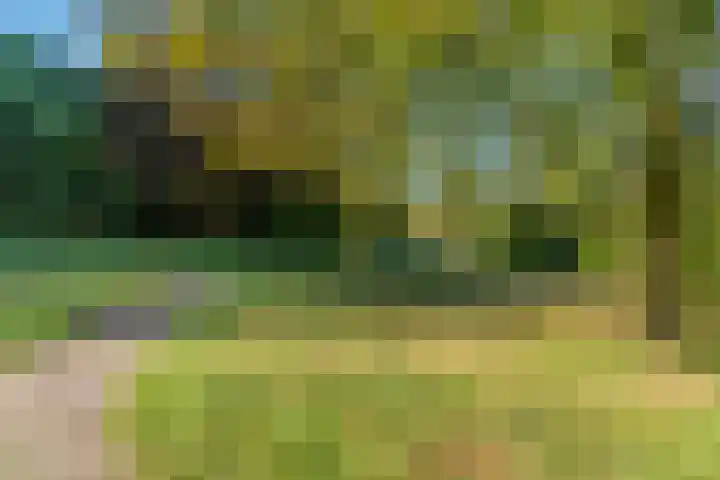 Lange Akkers 129 Ede thumbnail 27