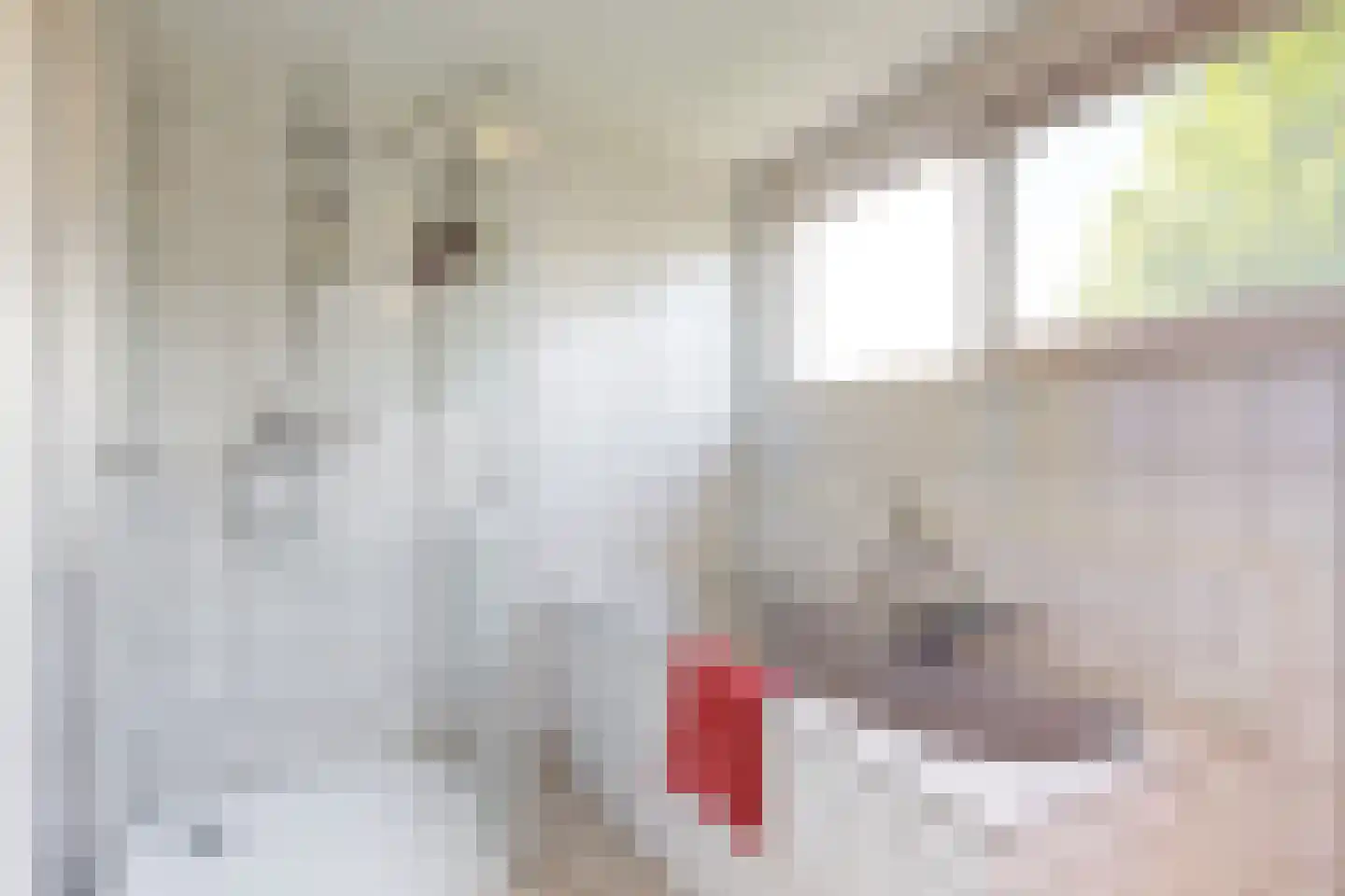 Lange Akkers 14 Heteren thumbnail 32