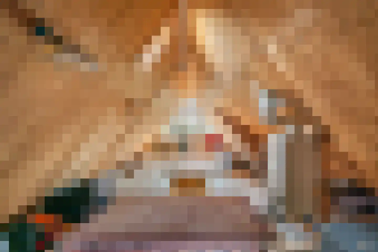 Lange Akkers 14 Heteren thumbnail 33