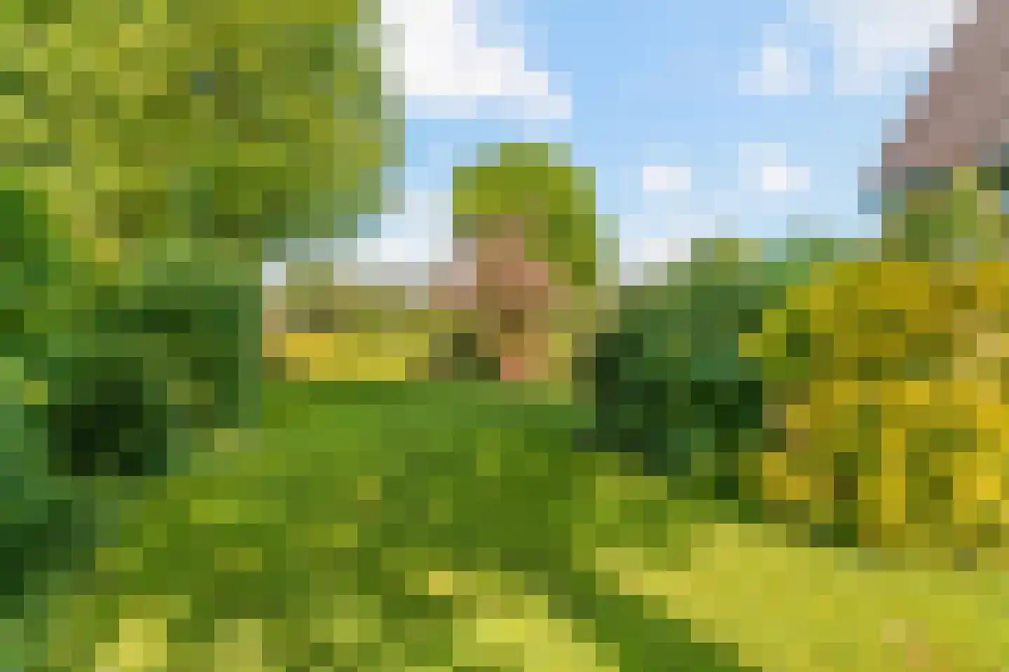 Lange Akkers 14 Heteren thumbnail 35