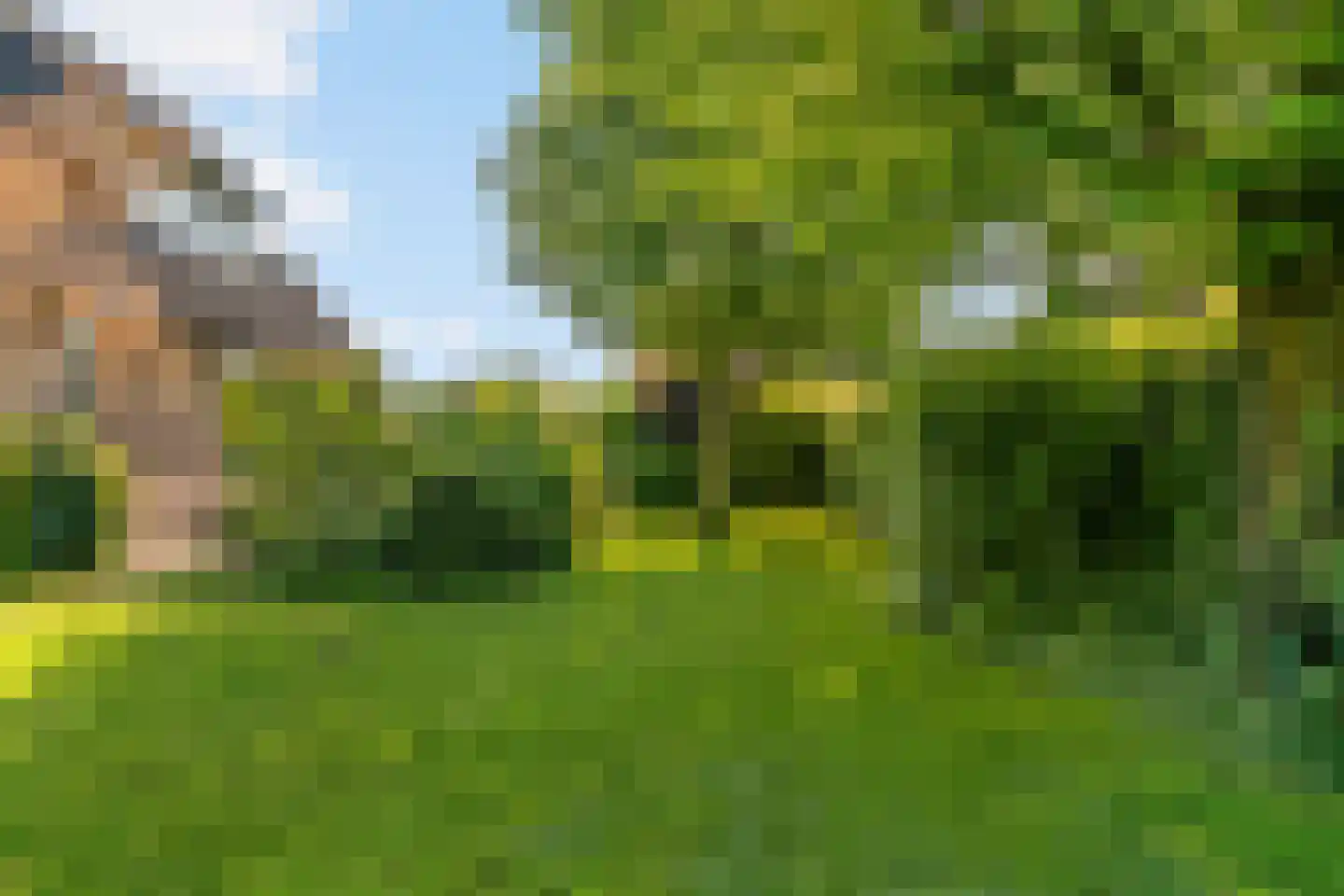 Lange Akkers 14 Heteren thumbnail 36