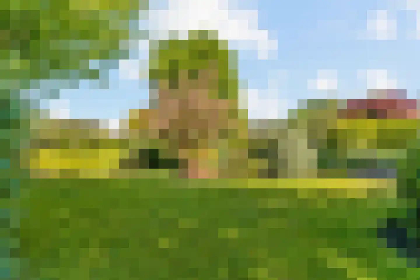 Lange Akkers 14 Heteren thumbnail 37