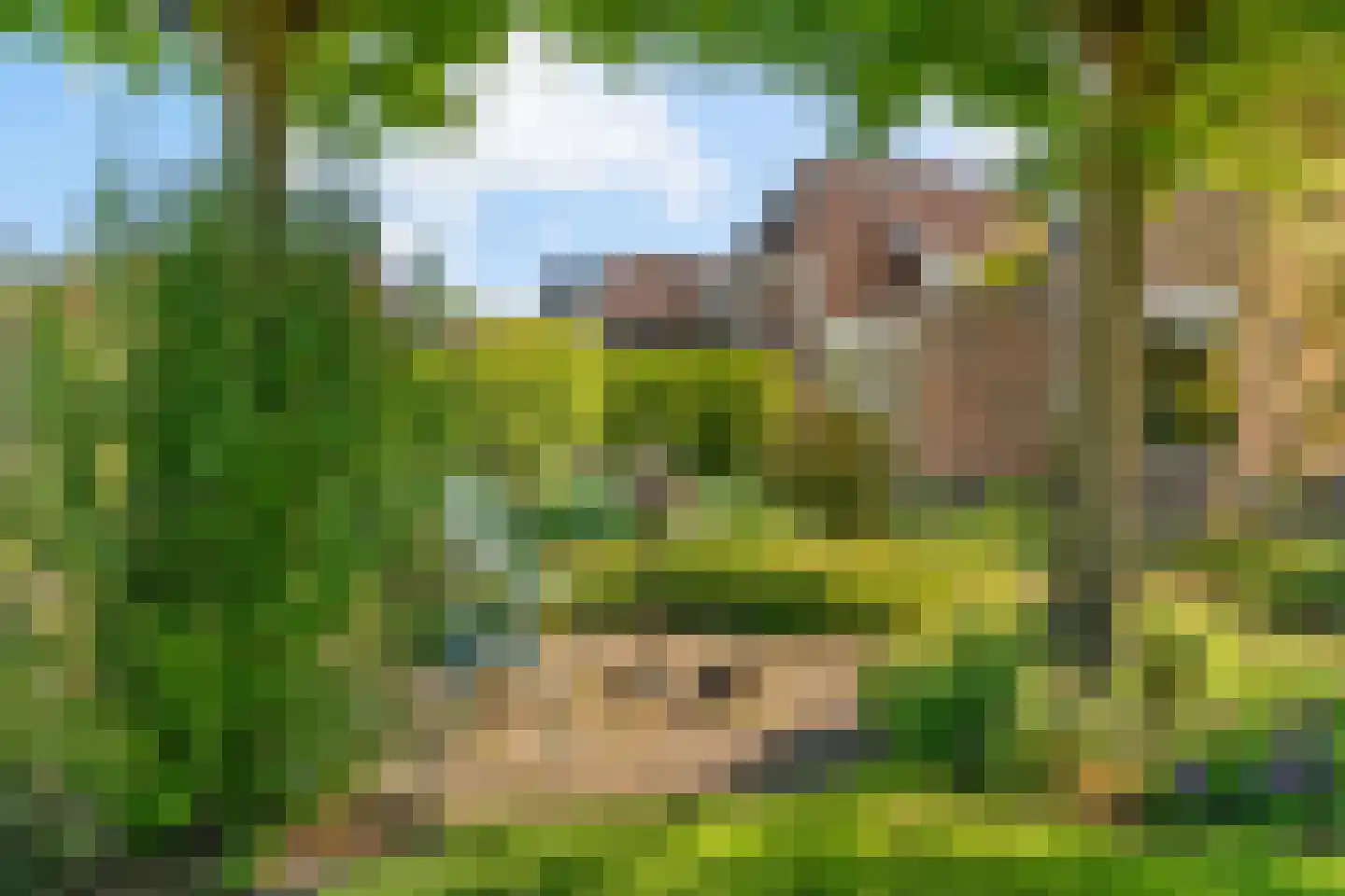 Lange Akkers 14 Heteren thumbnail 39