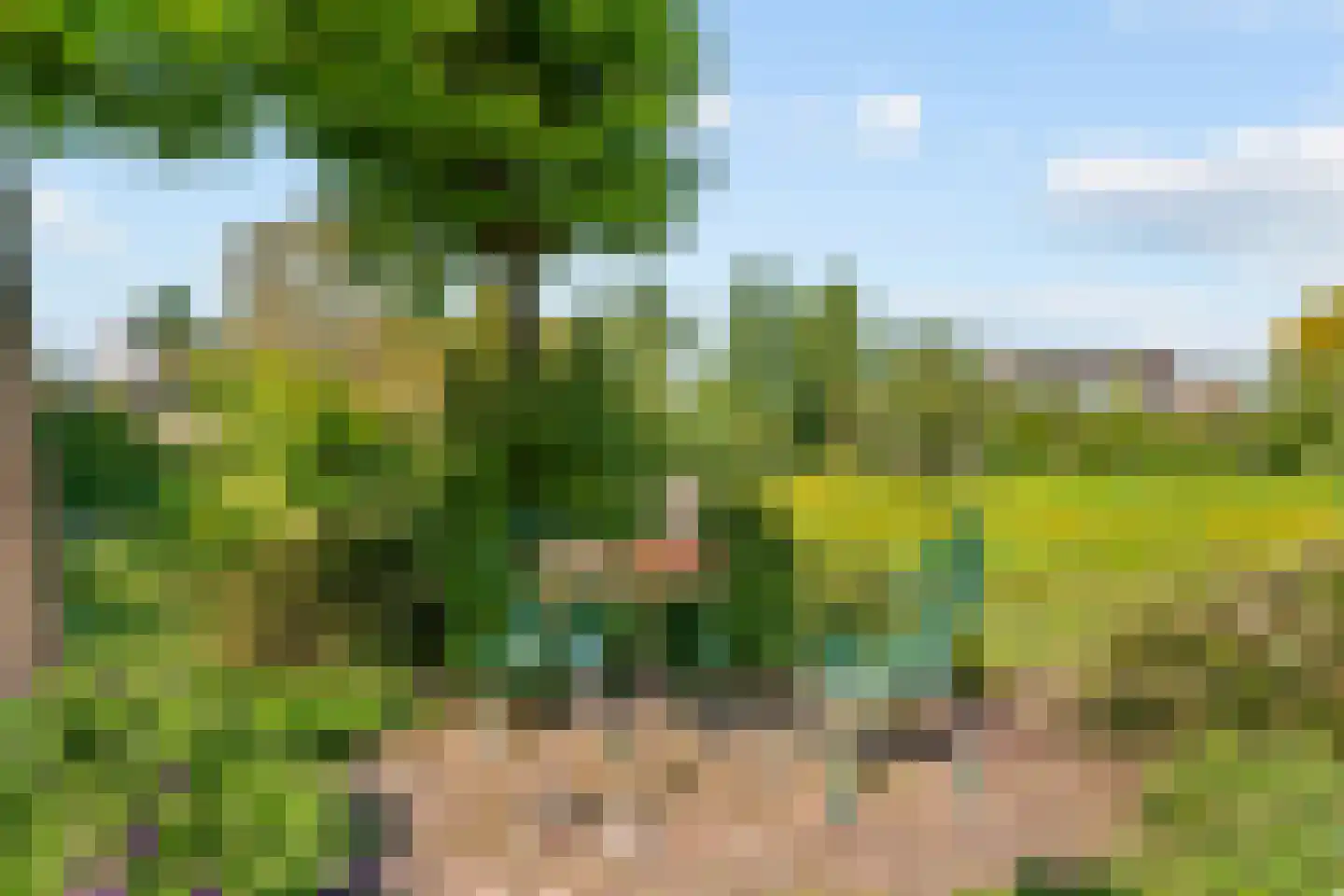 Lange Akkers 14 Heteren thumbnail 40