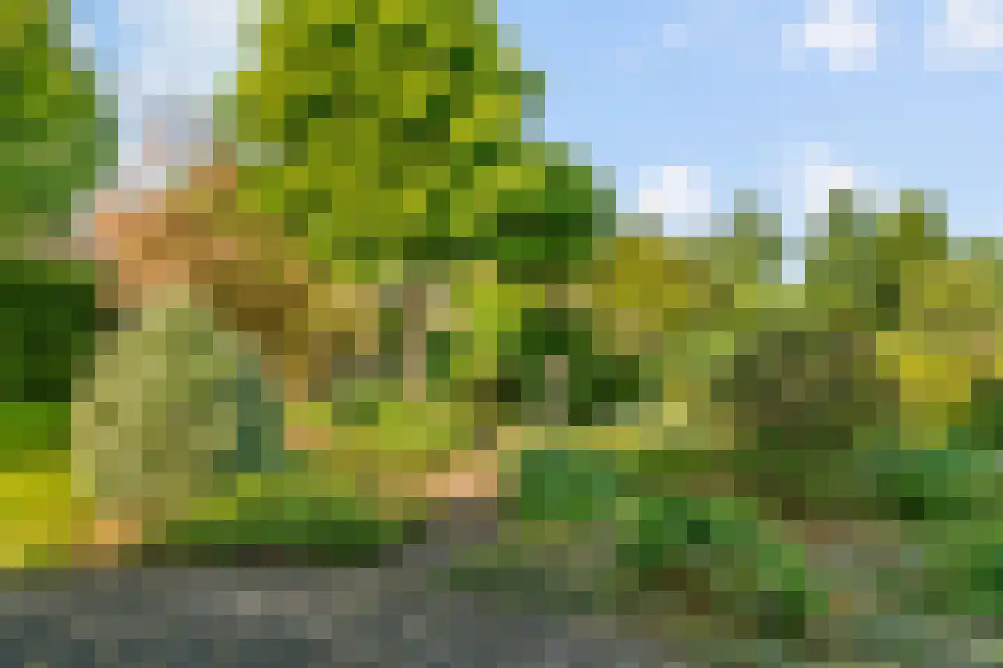 Lange Akkers 14 Heteren thumbnail 43